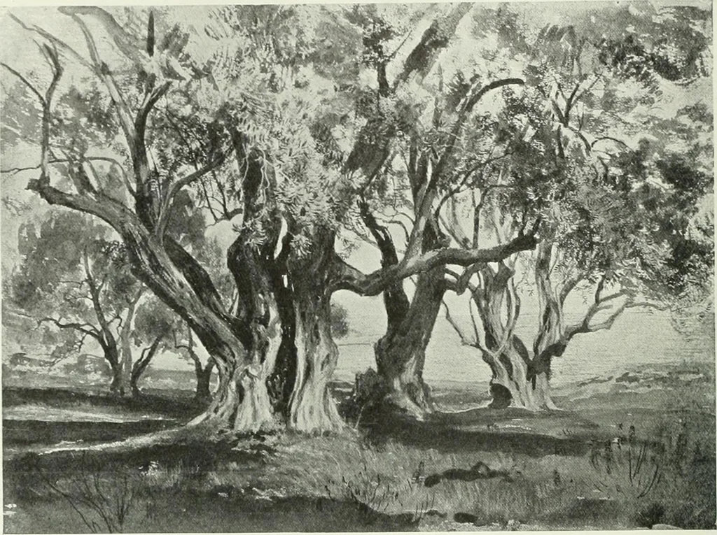 An illustration from Studio international, 1893, leaf 119