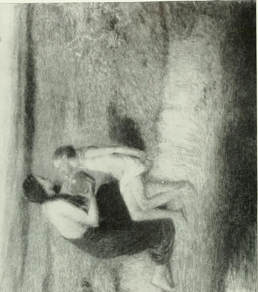 An illustration from Studio international, 1893, leaf 15