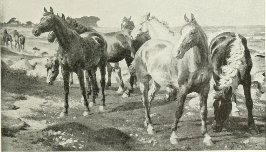 An illustration from Studio international, 1893, leaf 156