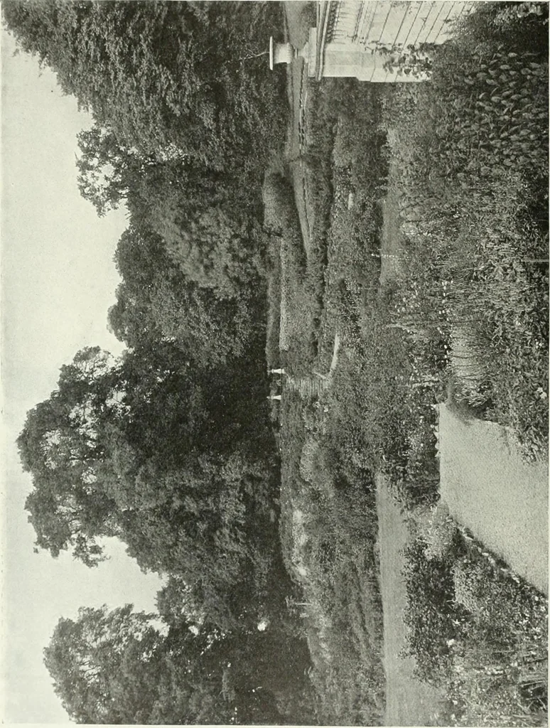 An illustration from Studio international, 1893, leaf 201