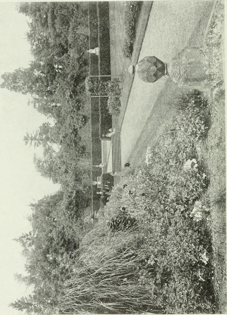 An illustration from Studio international, 1893, leaf 205