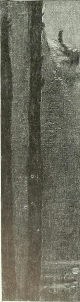 An illustration from Studio international, 1893, leaf 275