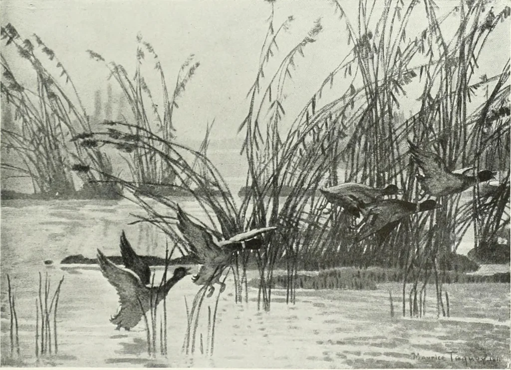 An illustration from Studio international, 1893, leaf 60