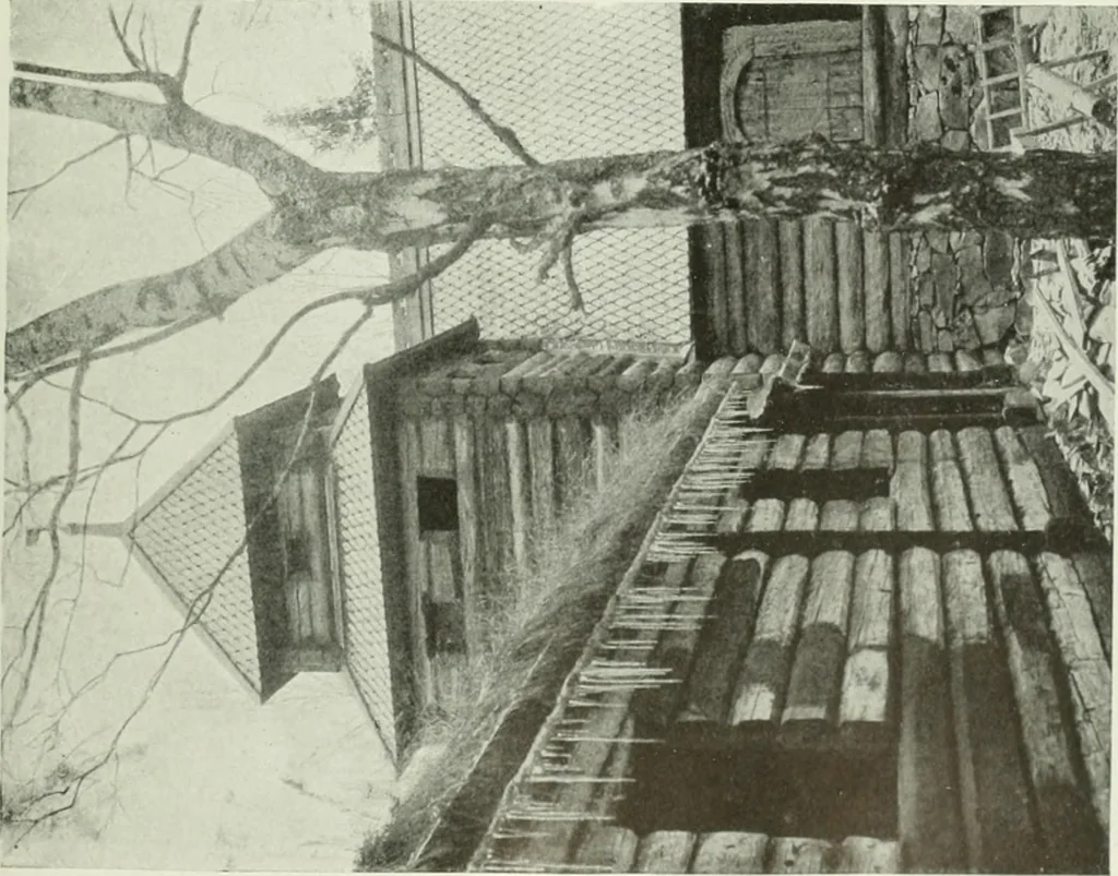 An illustration from Studio international, 1893, leaf 116
