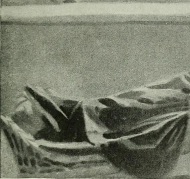 An illustration from Studio international, 1893, leaf 198