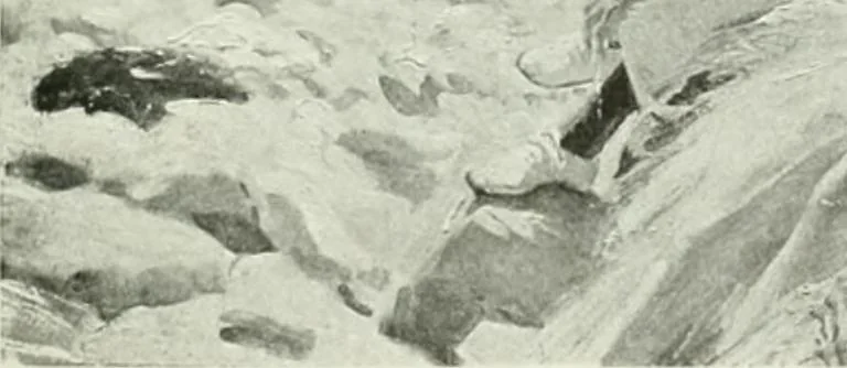 An illustration from Studio international, 1893, leaf 202