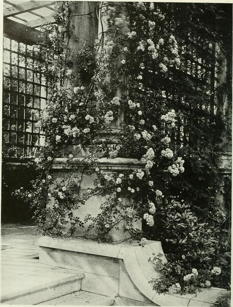 An illustration from Studio international, 1893, leaf 223