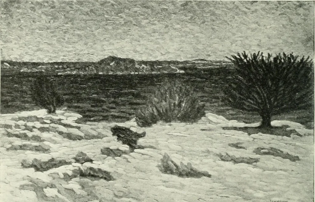 An illustration from Studio international, 1893, leaf 261