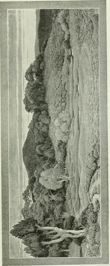 An illustration from Studio international, 1893, leaf 308