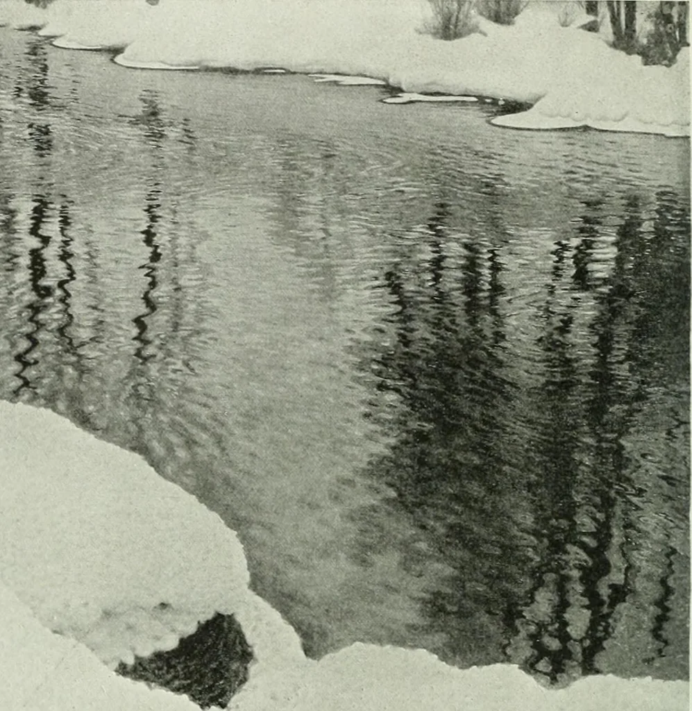 An illustration from Studio international, 1893, leaf 345