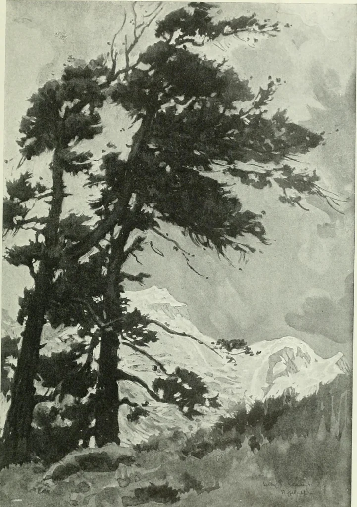An illustration from Studio international, 1893, leaf 348