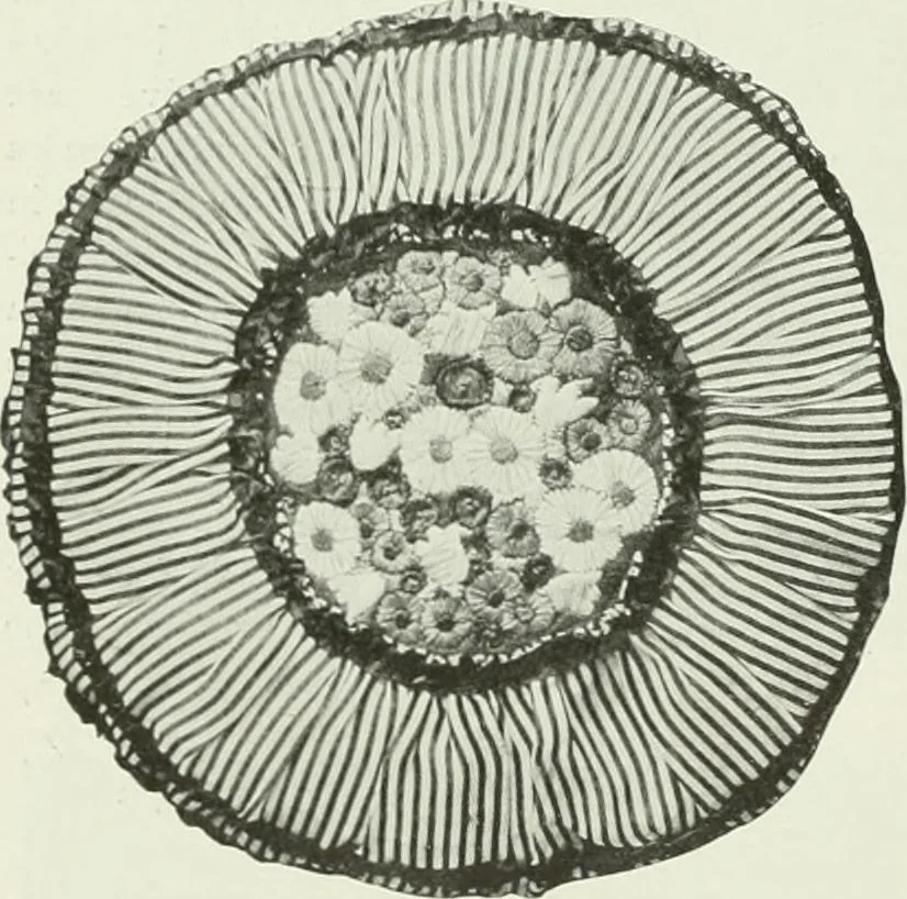 An illustration from Studio international, 1893, leaf 57