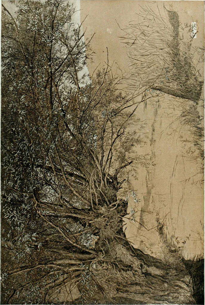 An illustration from Studio international, 1893, leaf 62