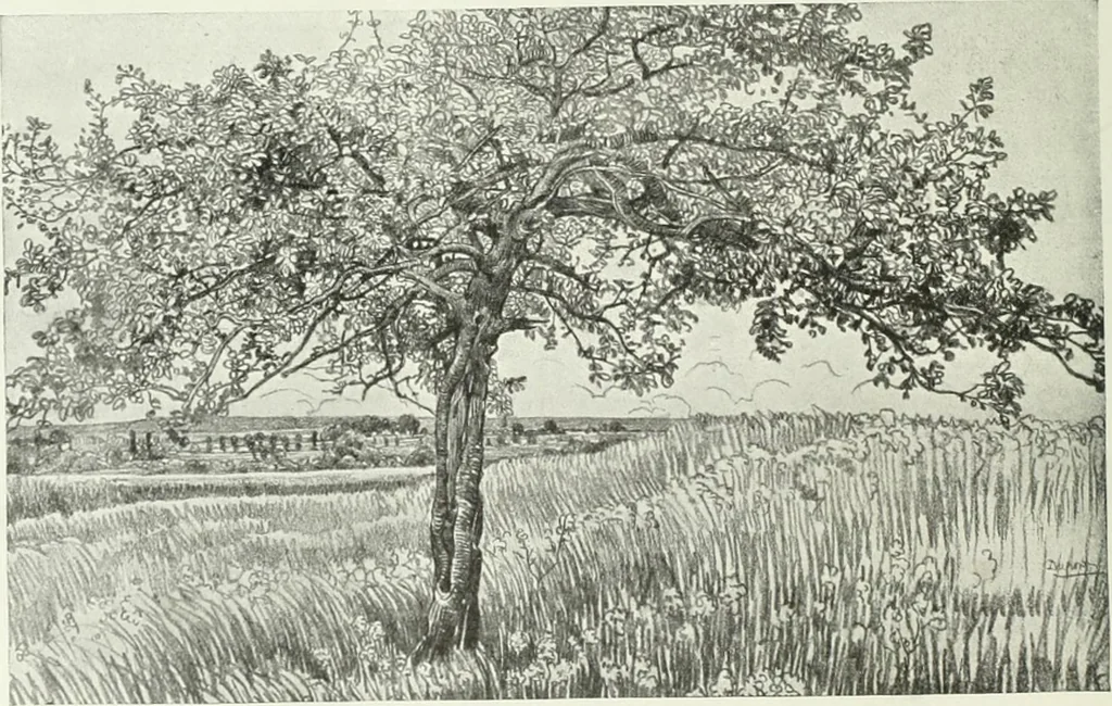An illustration from Studio international, 1893, leaf 163