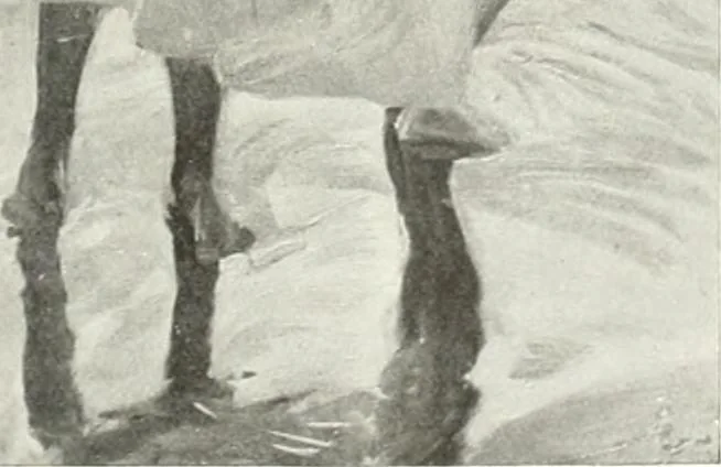 An illustration from Studio international, 1893, leaf 176