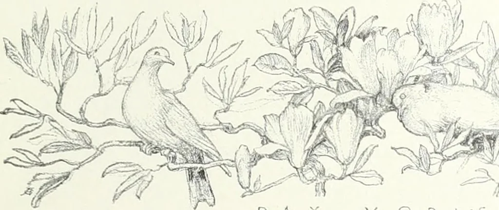 An illustration from Studio international, 1893, leaf 186