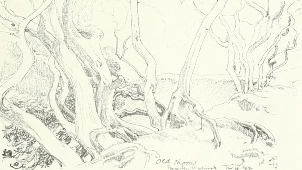 An illustration from Studio international, 1893, leaf 186