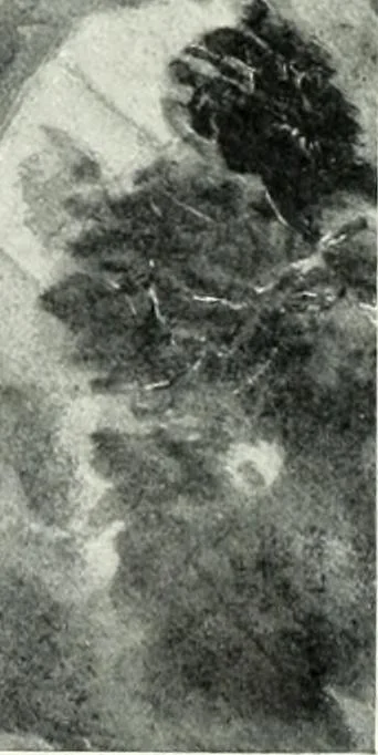 An illustration from Studio international, 1893, leaf 191