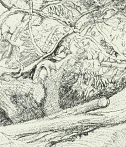 An illustration from Studio international, 1893, leaf 193