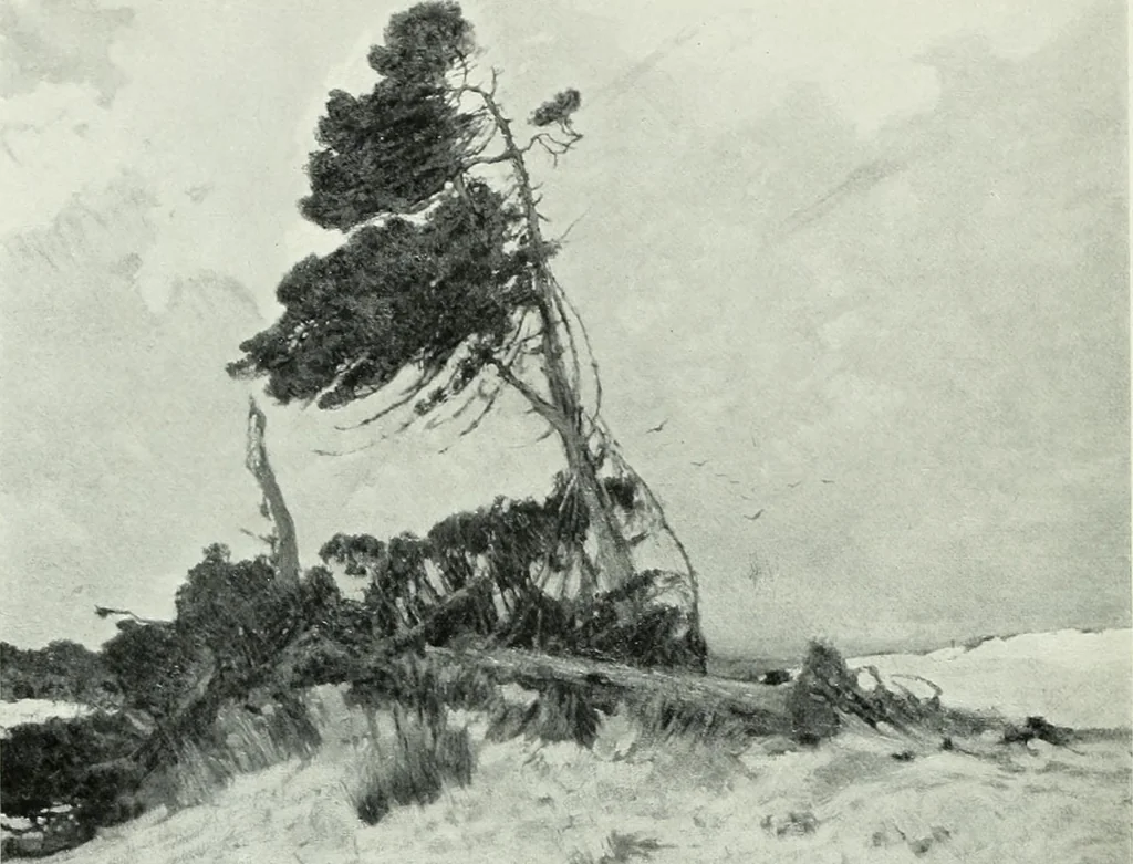 An illustration from Studio international, 1893, leaf 261