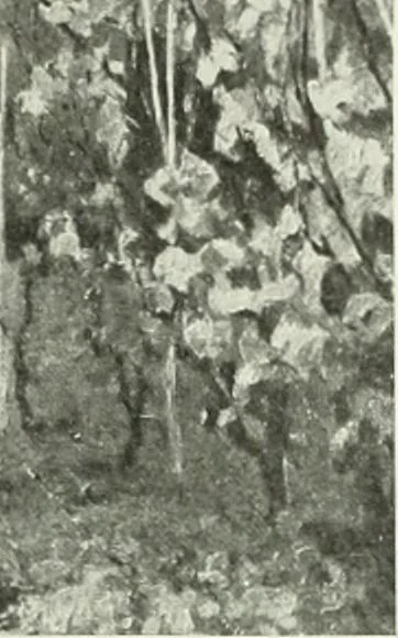 An illustration from Studio international, 1893, leaf 166