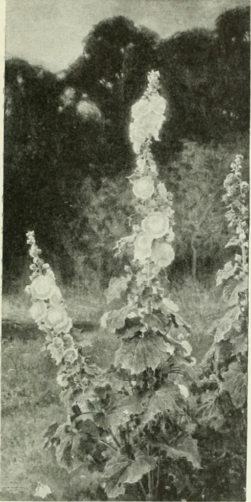 An illustration from Studio international, 1893, leaf 170