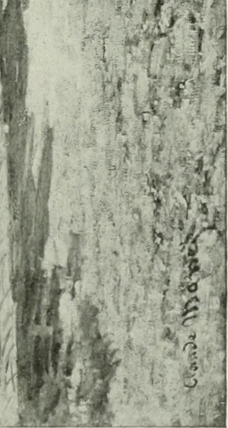 An illustration from Studio international, 1893, leaf 198