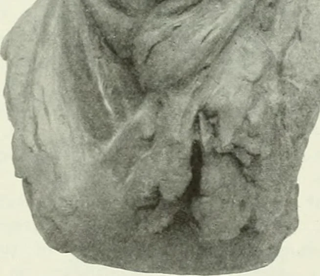 An illustration from Studio international, 1893, leaf 25