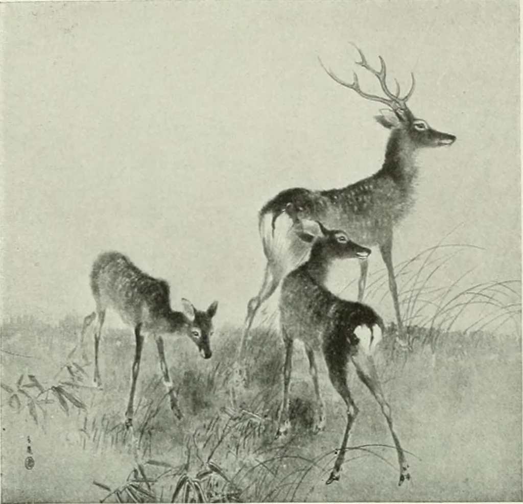 An illustration from Studio international, 1893, leaf 253