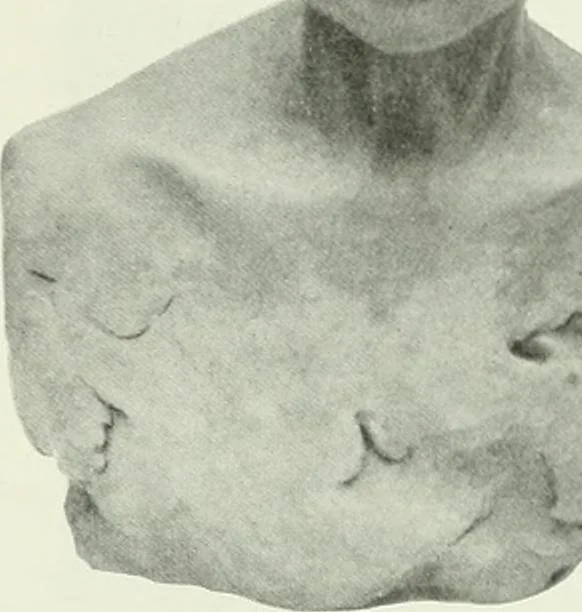 An illustration from Studio international, 1893, leaf 26
