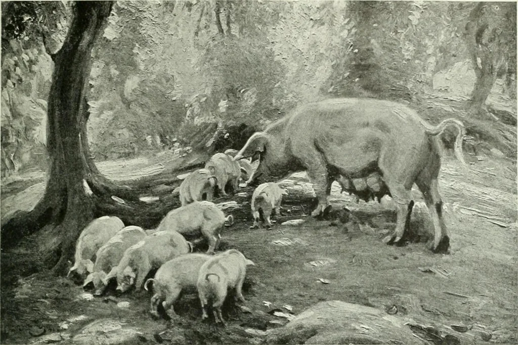 An illustration from Studio international, 1893, leaf 264