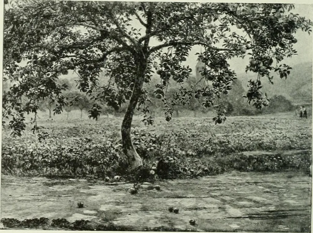 An illustration from Studio international, 1893, leaf 329