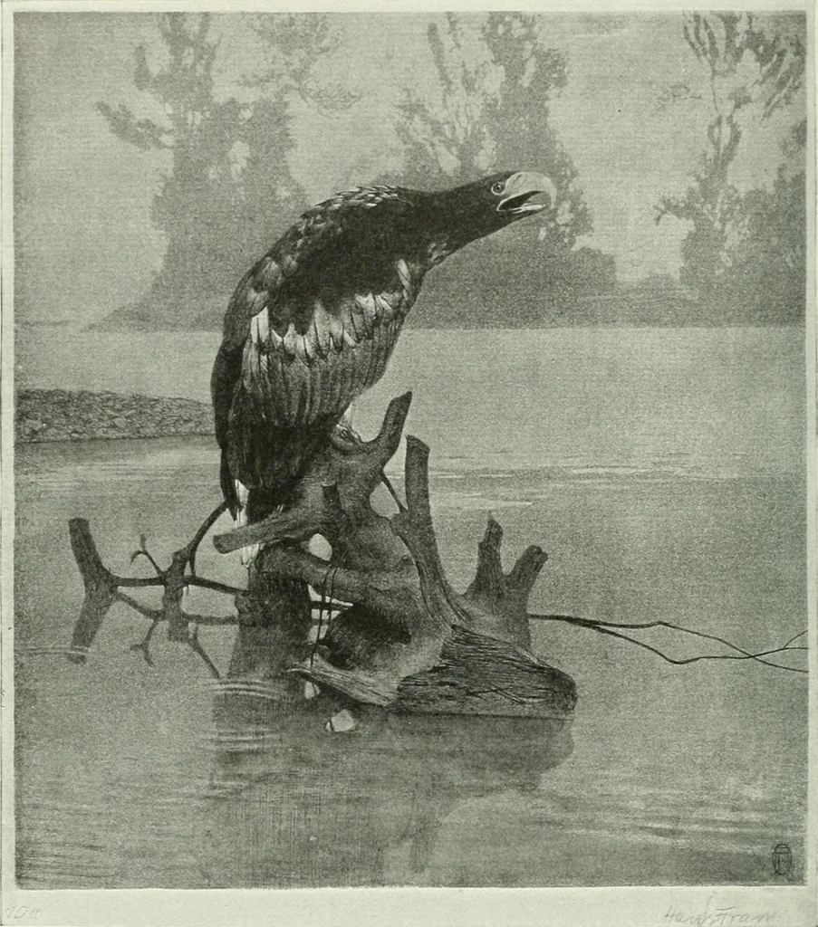 An illustration from Studio international, 1893, leaf 331