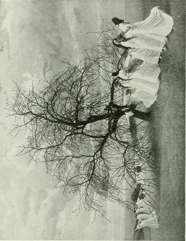 An illustration from Studio international, 1893, leaf 77