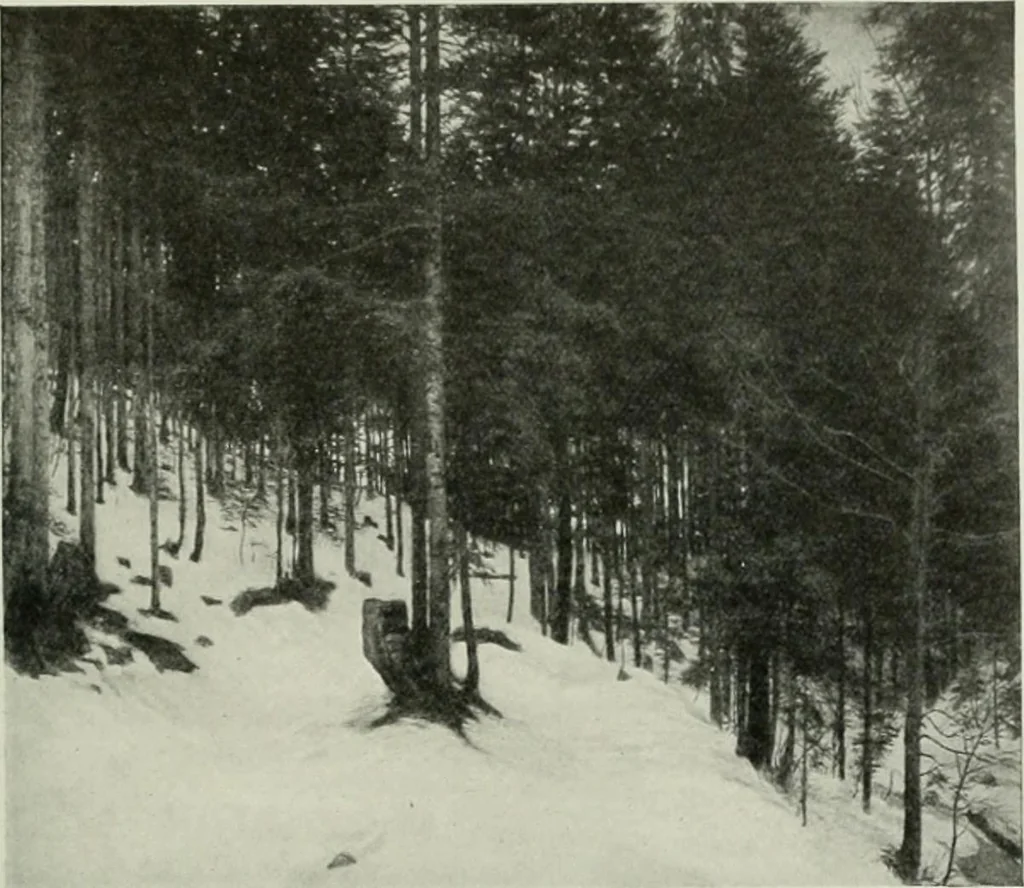 An illustration from Studio international, 1893, leaf 164
