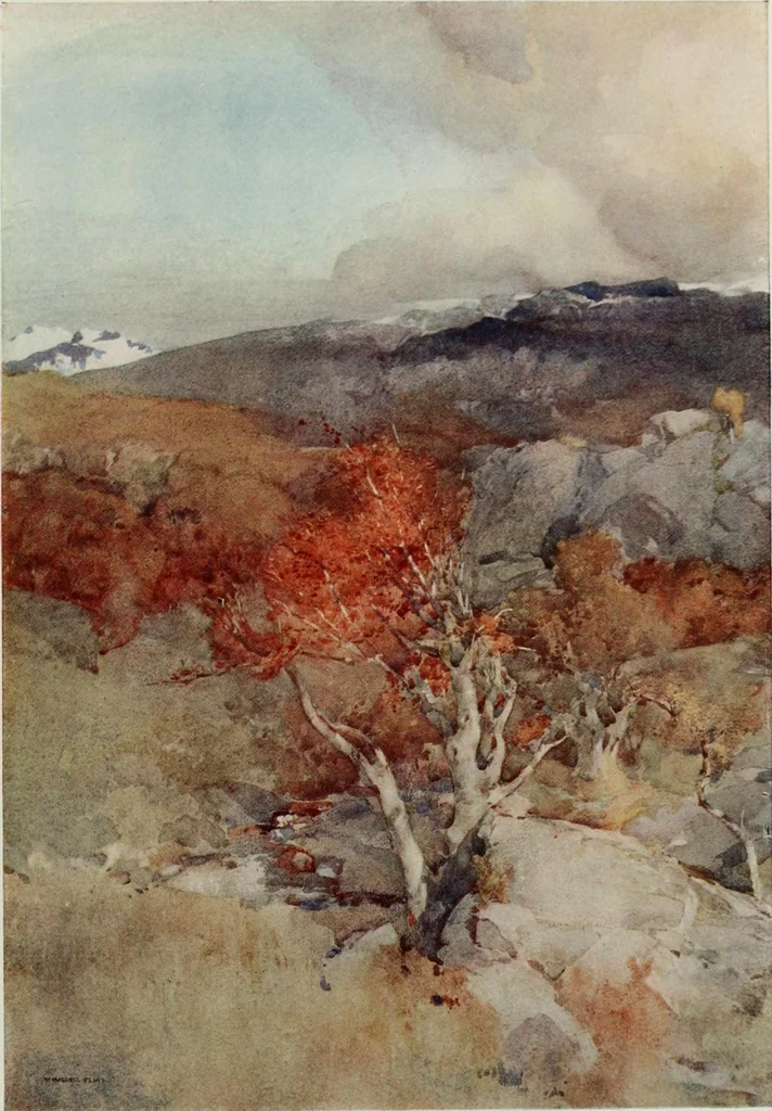 An illustration from Studio international, 1893, leaf 268
