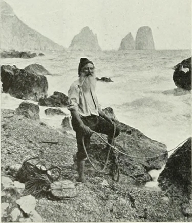 An illustration from Studio international, 1893, leaf 293