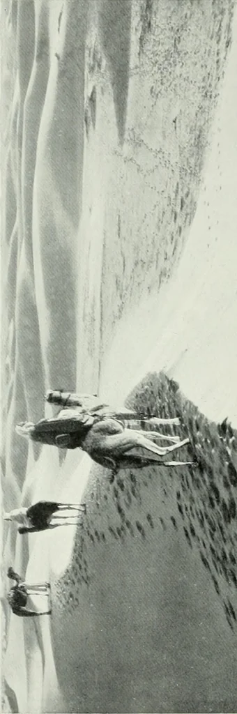 An illustration from Studio international, 1893, leaf 301