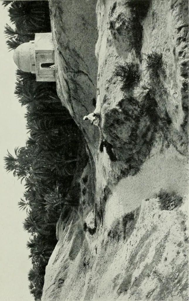 An illustration from Studio international, 1893, leaf 302