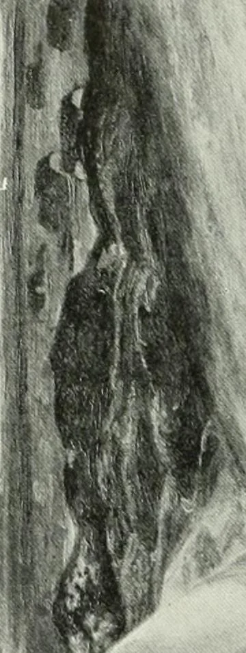 An illustration from Studio international, 1893, leaf 325