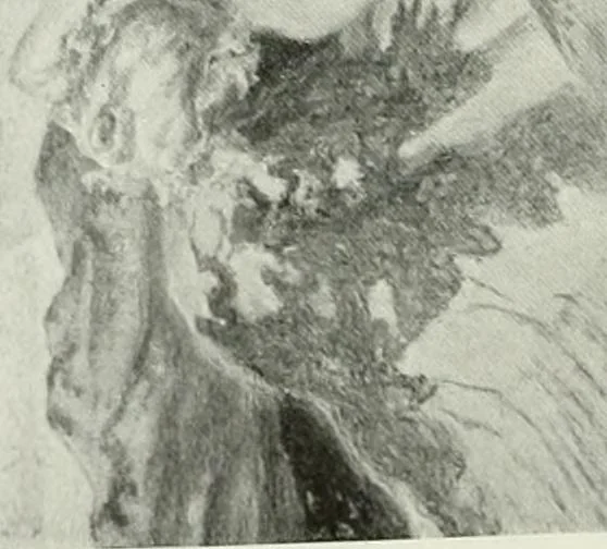 An illustration from Studio international, 1893, leaf 325