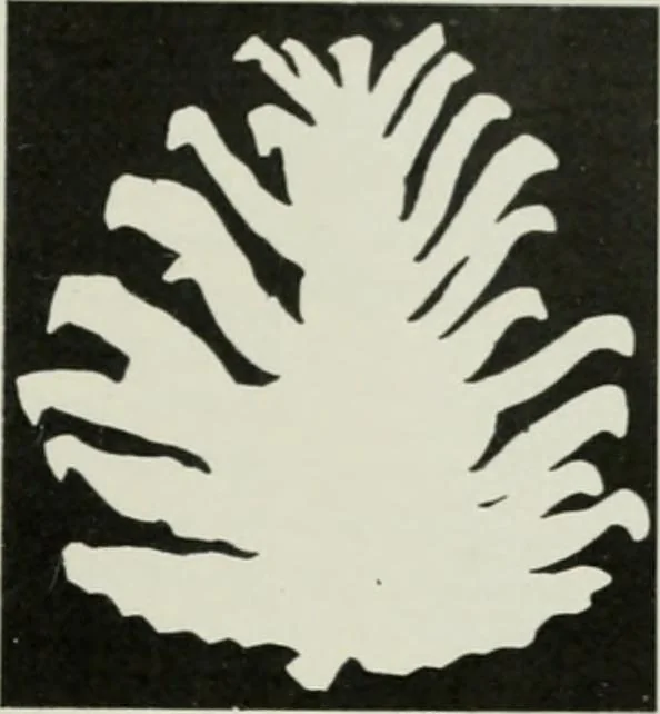 An illustration from Studio international, 1893, leaf 46