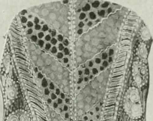 An illustration from Studio international, 1893, leaf 162