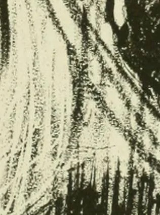 An illustration from Studio international, 1893, leaf 18