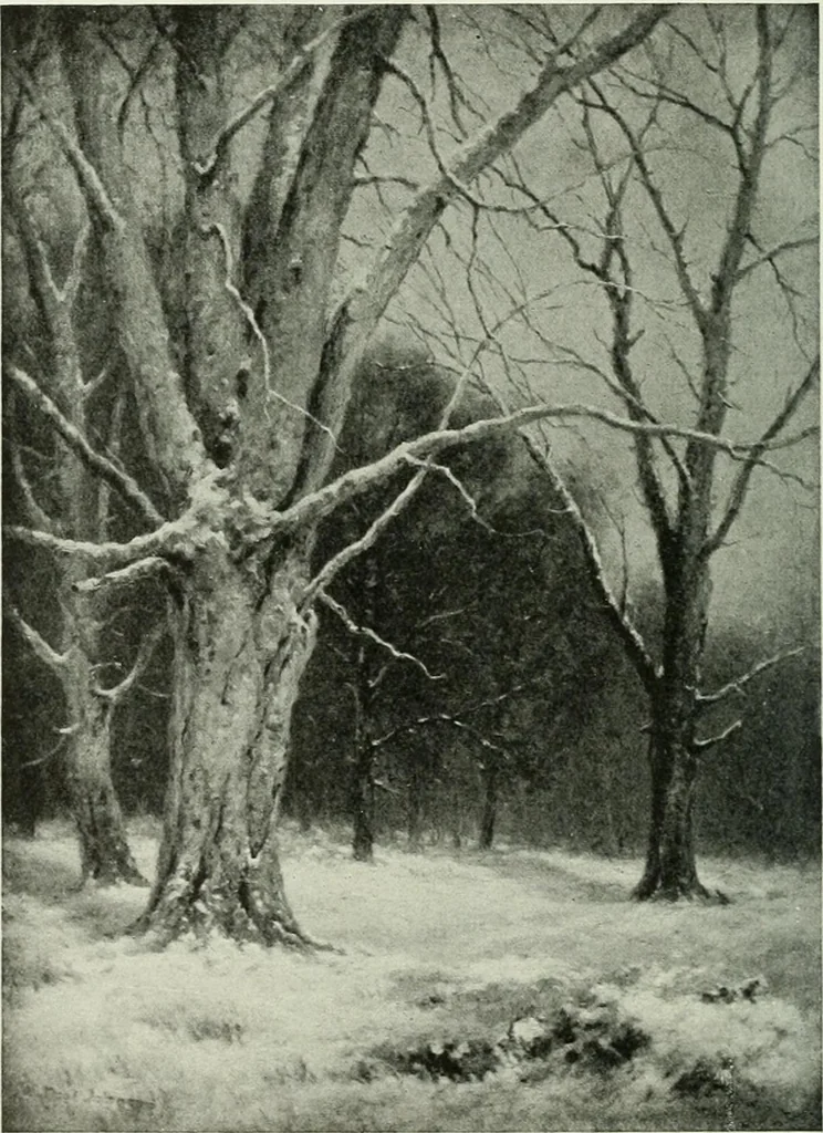 An illustration from Studio international, 1893, leaf 241