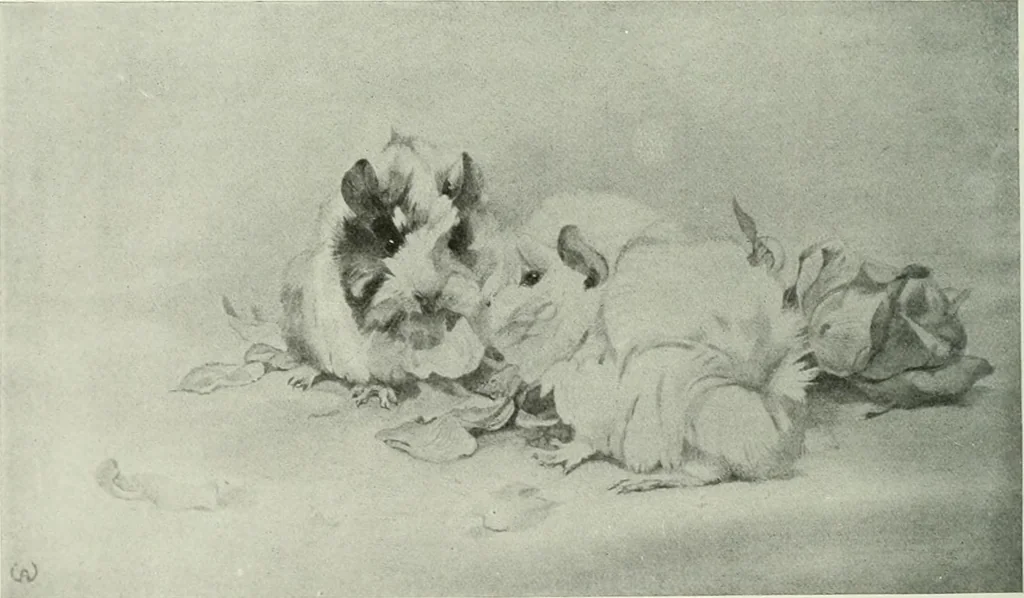 An illustration from Studio international, 1893, leaf 319