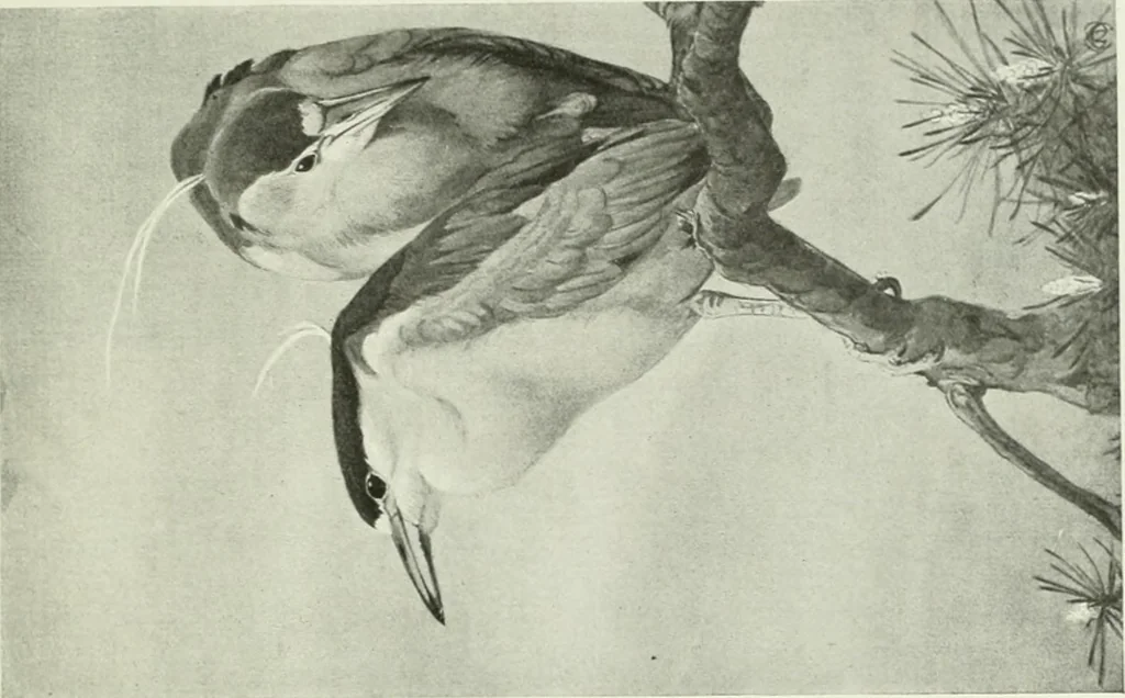 An illustration from Studio international, 1893, leaf 320