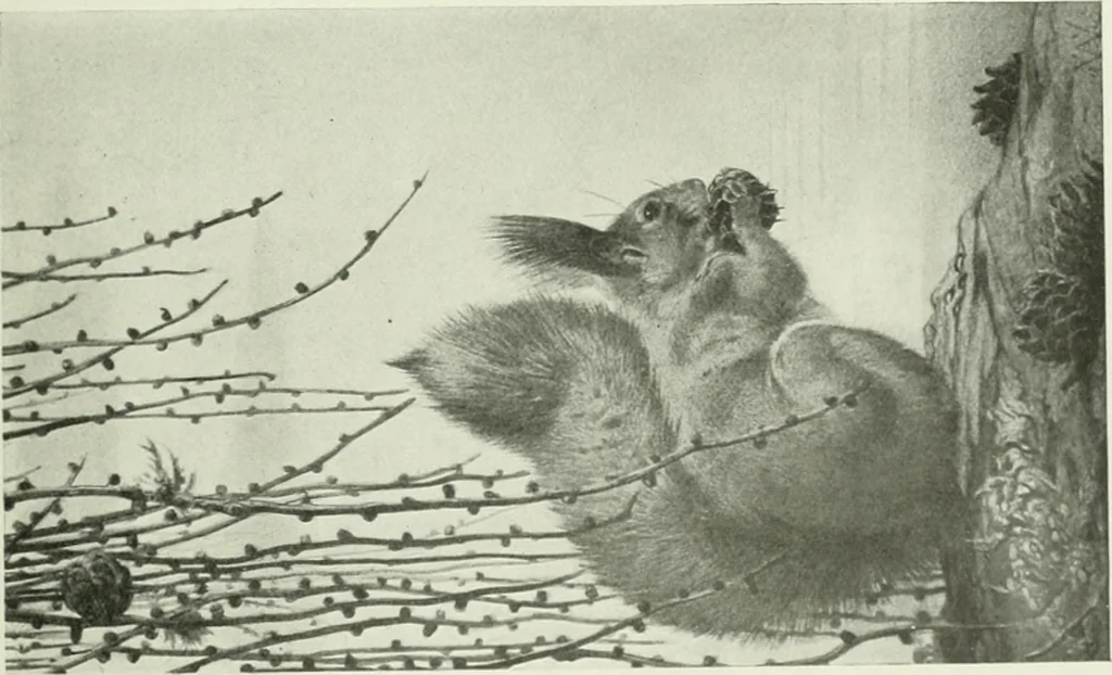 An illustration from Studio international, 1893, leaf 320