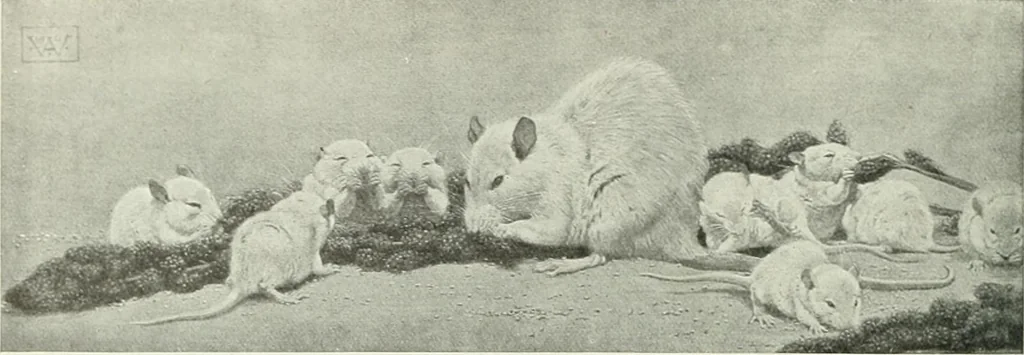 An illustration from Studio international, 1893, leaf 321