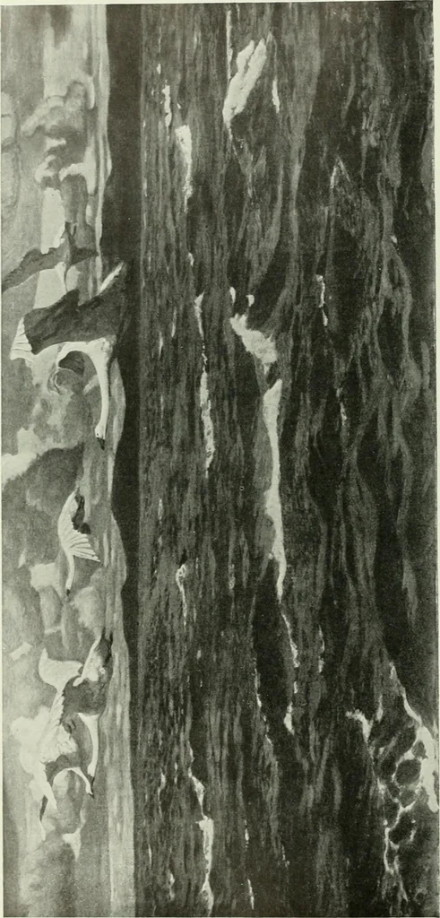An illustration from Studio international, 1893, leaf 337